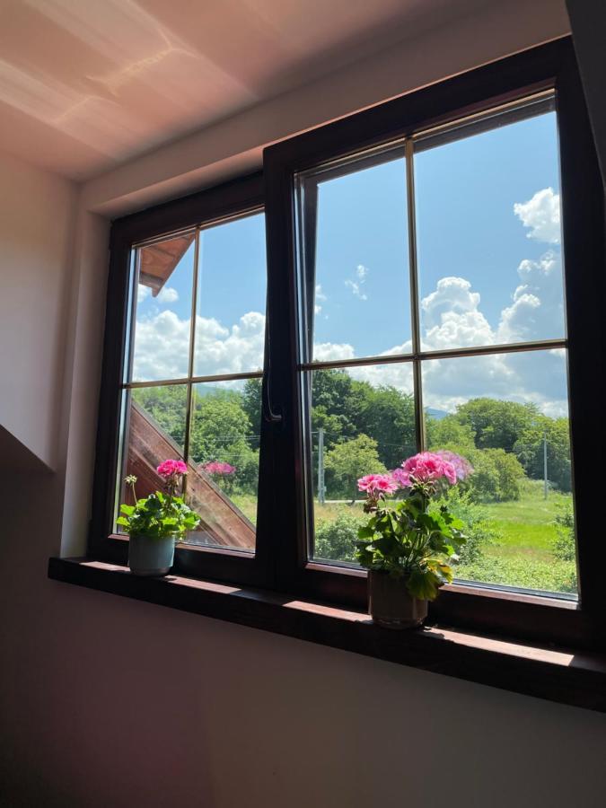 Casa La Doi Nuci Hotell Bradet  Eksteriør bilde